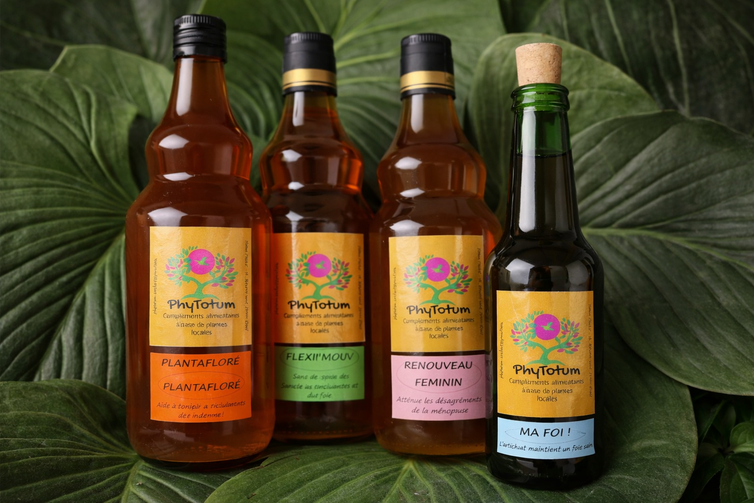 Bocaux de macérats de plantes sauvages au vinaigre de cidre